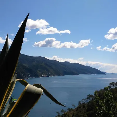 Suisse Bellevue Monterosso al Mare