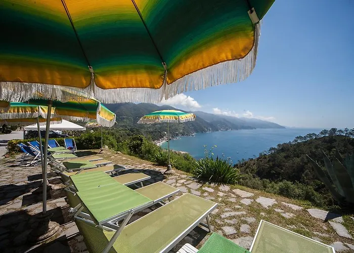 Hotel Suisse Bellevue