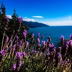 Suisse Bellevue Hotel Monterosso al Mare