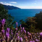 Suisse Bellevue Monterosso al Mare