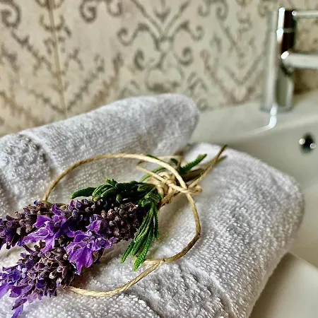 Suisse Bellevue Hotel 3*