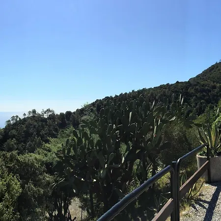 Suisse Bellevue Hotel 3*