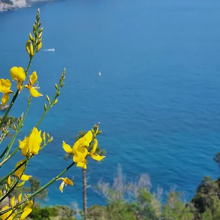 Suisse Bellevue Monterosso al Mare