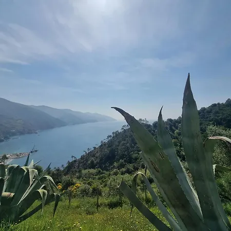 Suisse Bellevue 3* Monterosso al Mare
