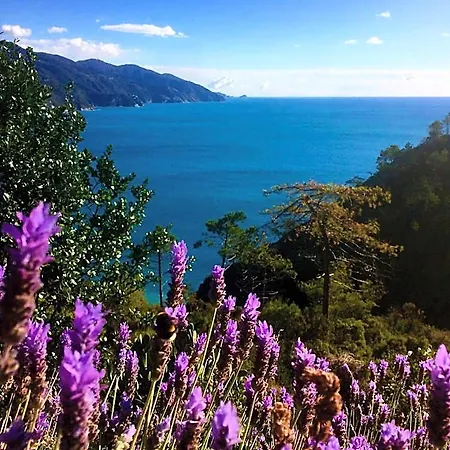 Suisse Bellevue Hotel Monterosso al Mare