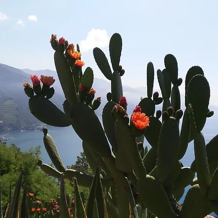 Suisse Bellevue Hotel 3*