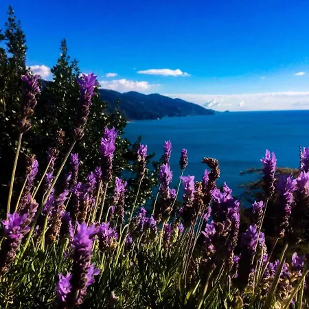Suisse Bellevue Hotel Monterosso al Mare