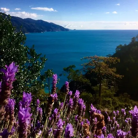 Suisse Bellevue Monterosso al Mare
