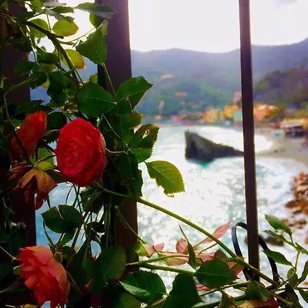 Hotel Suisse Bellevue 3*