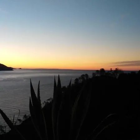 Hotell Suisse Bellevue