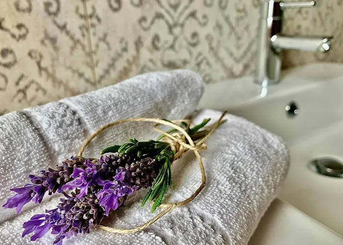 Suisse Bellevue فندق 3*