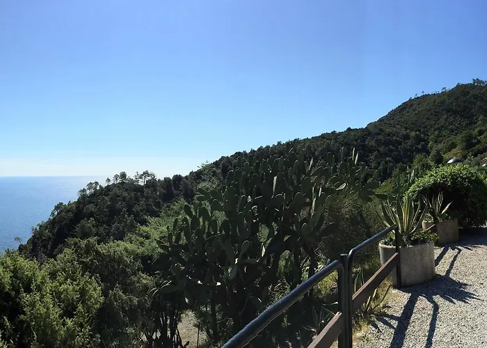 Suisse Bellevue فندق 3*