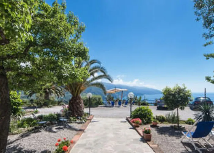 Suisse Bellevue فندق