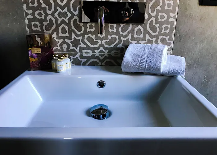 Suisse Bellevue فندق