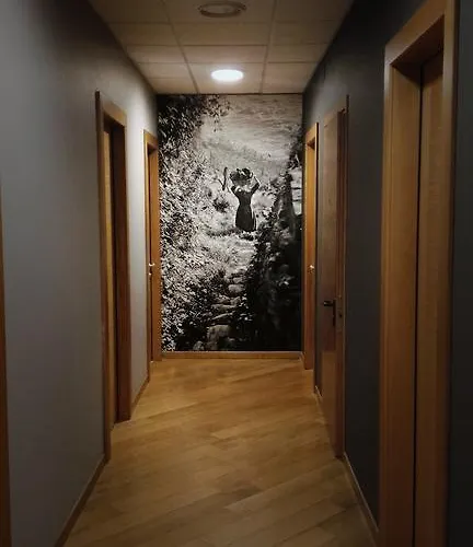 فندق Suisse Bellevue