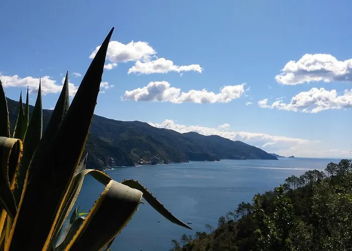 Suisse Bellevue مونتيروسّو ال ماري