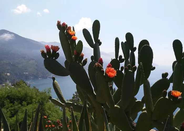 Suisse Bellevue فندق 3*