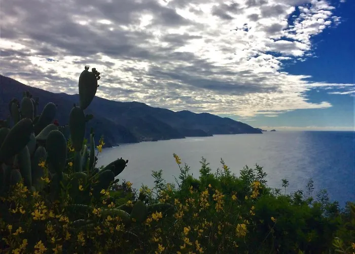 Suisse Bellevue فندق