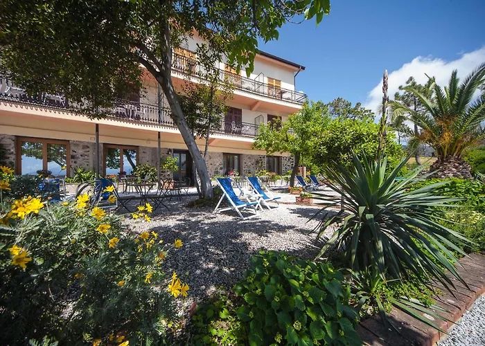 فندق Suisse Bellevue