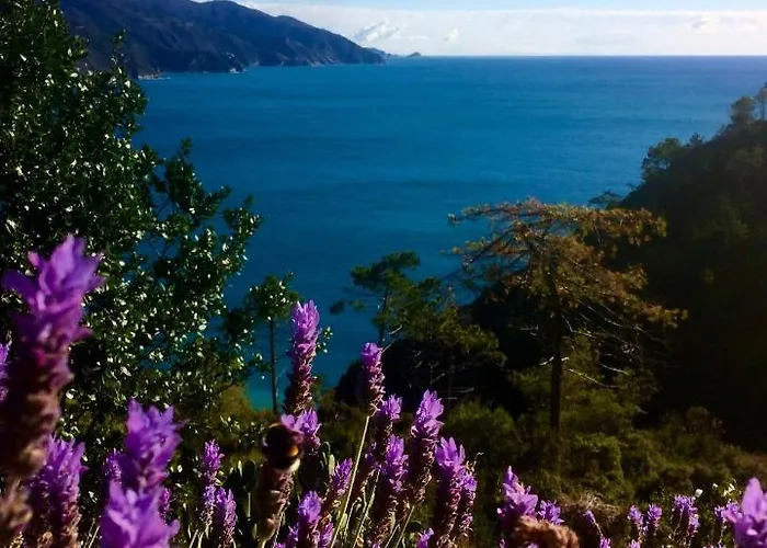 Suisse Bellevue مونتيروسّو ال ماري