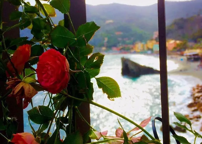 فندق Suisse Bellevue 3*