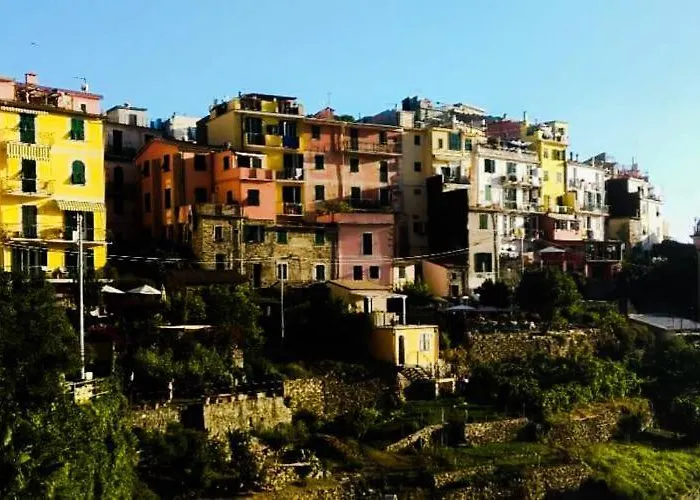 فندق Suisse Bellevue