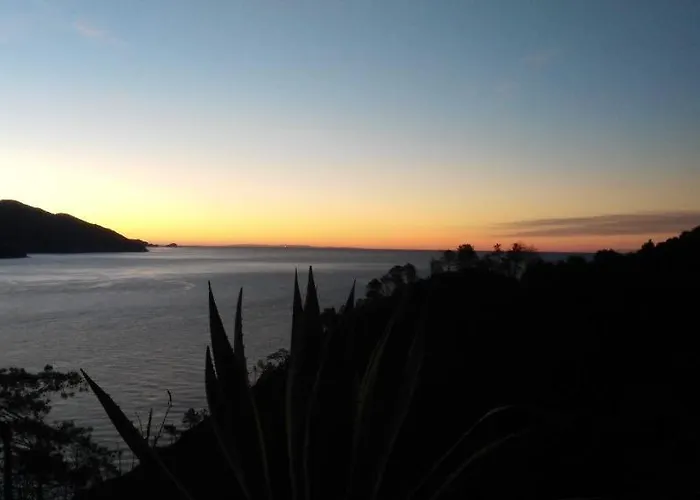 فندق Suisse Bellevue